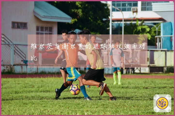 维尔茨与谢尔基的进球助攻效率对比