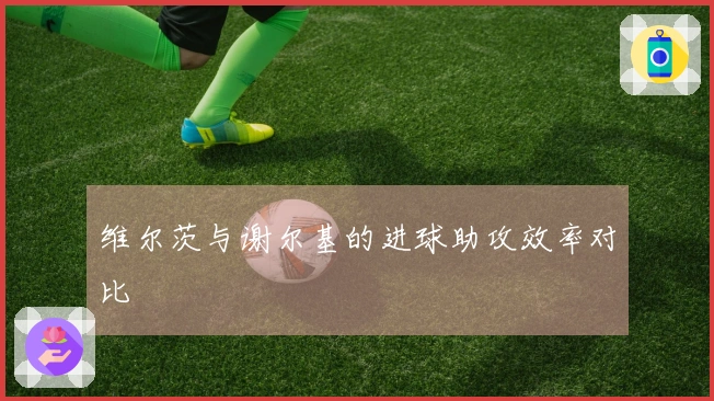 维尔茨与谢尔基的进球助攻效率对比