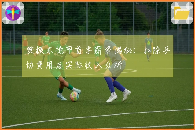 樊振东德甲首季薪资揭秘：扣除乒协费用后实际收入分析